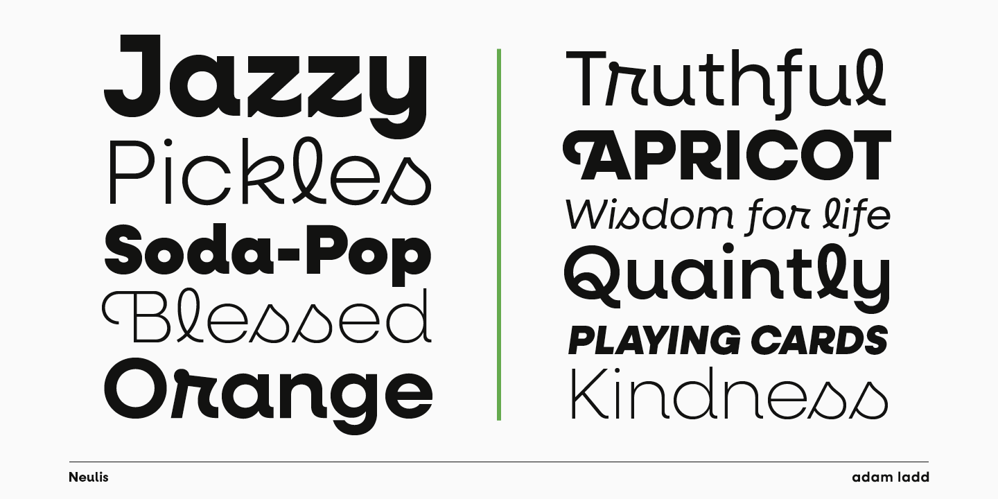 Neulis Extra Bold Italic Font preview